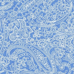 Blue Jumbo Paisley Fabric Canvas Texture Medium Size Paisley Wallpaper