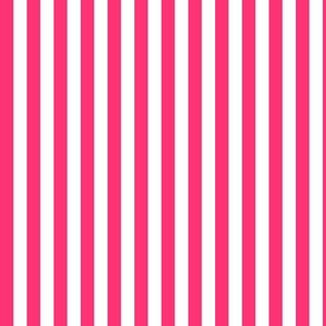 White and Hot Pink Stripe (1/3 inch stripes) (1090)