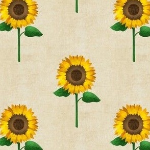 sunflowers - tan