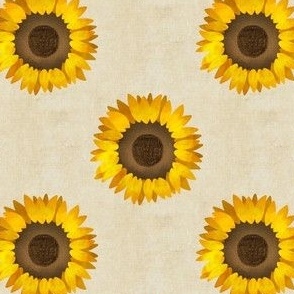 sunflowers 2 - tan