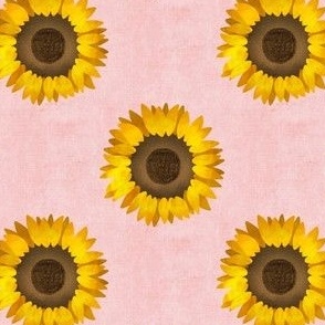sunflowers 2 - pink