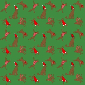 Brown doodles dressed for Christmas (green)