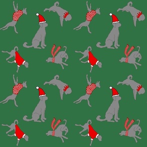 Grey doodles dressed for Christmas (green)