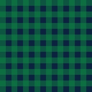 1/2 Inch Buffalo Check in Navy Blue and Green - Traditional 