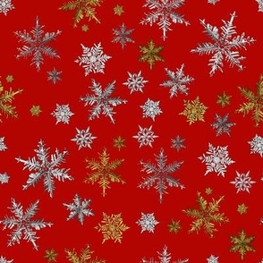 Christmas Silver and Gold Snowflakes on Christmas Red-Large