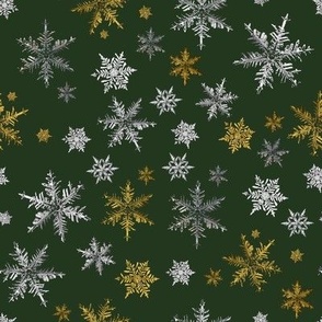 Holiday Silver and Gold Snowflakes on Christmas Green-Large Scale