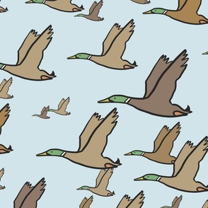 A lot of Ducks! Mallards light blue green yellow brown
