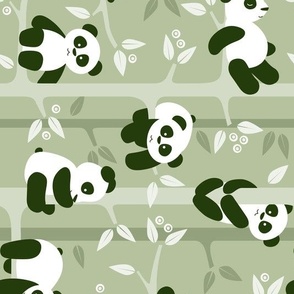 panda forest - green rotated