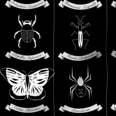 Entomology in Black & White