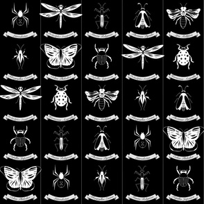 Entomology in Black & White