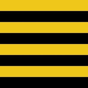 Team Stripes (1 inch Black and Yellow/Gold)