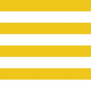 Team Stripes (1 inch White and Yellow/Gold)