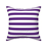 Team Stripes (1 inch White and Purple)