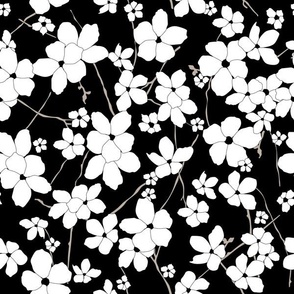 Desert brush flowers black white