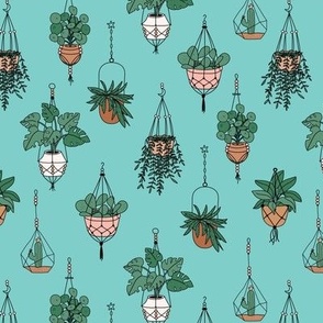 Plant lady Scandinavian hygge style home hanging plants - aqua blue pink blush green