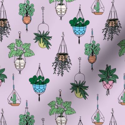 Plant lady Scandinavian hygge style home hanging plants - retro blue pink lime