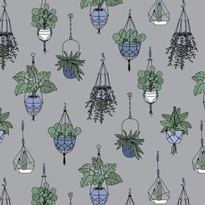 Plant lady Scandinavian hygge style home hanging plants - green on gray