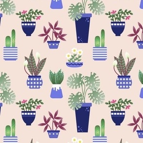 potted house plants cactus monstera snake plant in blue pots modern graphic patio decor