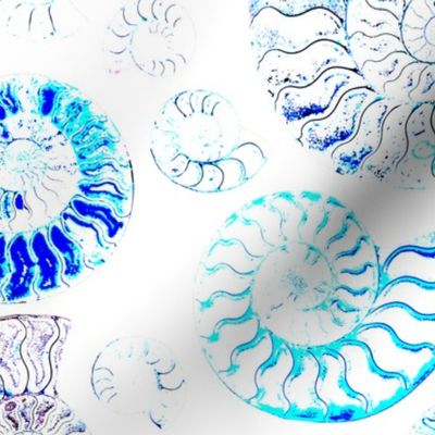 Serene Spirals Ammonite Fossils blues on white