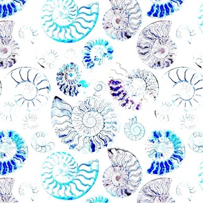 Serene Spirals Ammonite Fossils blues on white