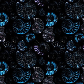 Serene Spirals Ammonite Fossils blues on black