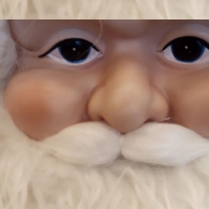 Face to Face with Santa 