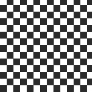 black and white checkerboard