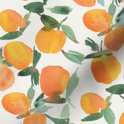 sicilian tangerines - watercolor citrus fruits - italian mandarines - watercolour christmas smell for modern home decor b193-4