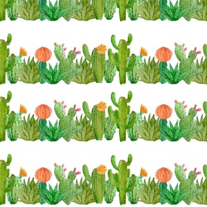 Green & Orange Cactus in Horizontal Lines