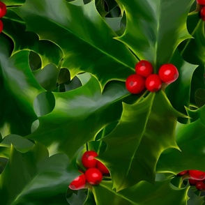 Green leaves with red berries