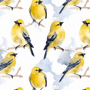 Watercolour Canaries