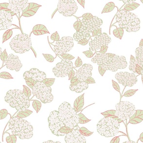 Hydrangea Floral Blooms// shell pink and pastel green