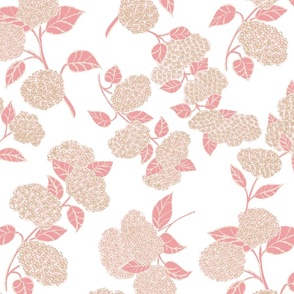 hydrangea floral blooms // shell and coral pink 