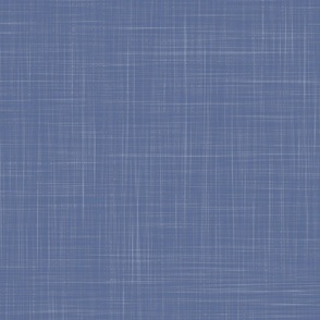 blue nova linen texture