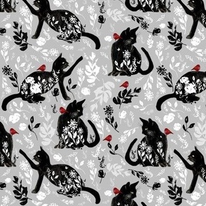 cats grey red birds / small