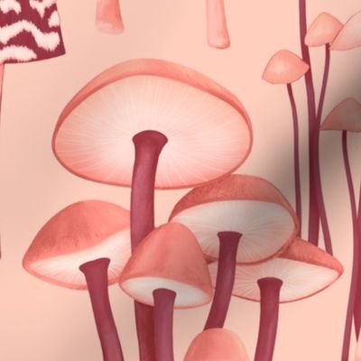 Mushrooms in Pink and Red, Vintage Vibe