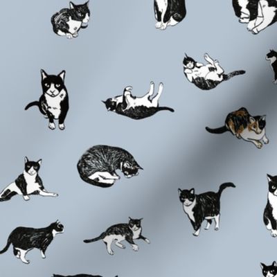 Tuxedo Cat Pattern