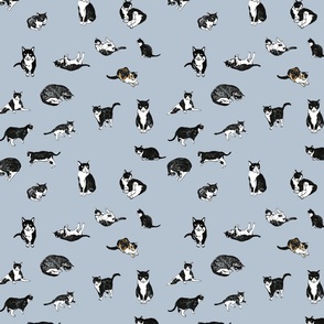 Tuxedo Cat Pattern