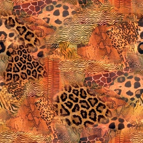 Animal Fur Africa Vibe Wildlife Collage