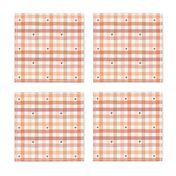 Multicoloured Gingham with Hearst | Valentine's day Check in Soft Pastel Colours 