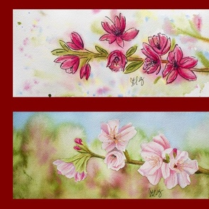Apple Blossoms Two Ways