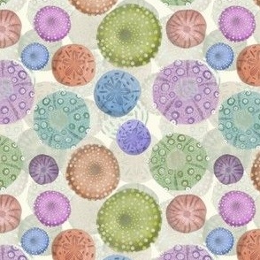 (S) Sand Dollars And Sea Urchin Watercolors // Purple, Pink, Green, Blue, Orange 