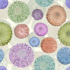 (M) Sand Dollars And Sea Urchin Watercolors // Purple, Pink, Green, Blue, Orange 