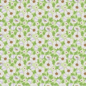 (S) White Poppy of Peace ditsy floral |  Potpourri Green | 
