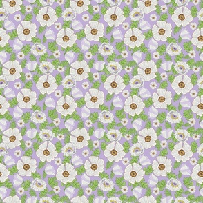 (S) White Poppy of Peace Ditsy floral | Amethyst Cream purple | 6 inch