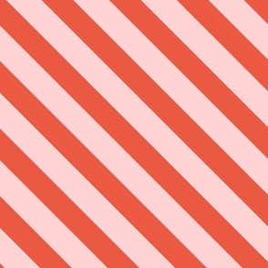 Diagonal Stripe | Red + Pink