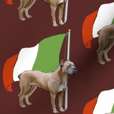 Cane Corso wth Italian Flag