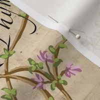 Flowering Herbs - Centuries old message