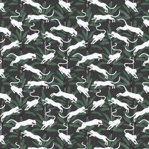 Panthers and Palm Trees - Green and Charcoal Shades / Medium