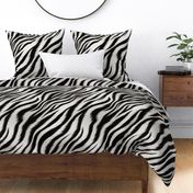 zebra animal print 